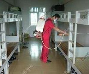 消毒殺蟲