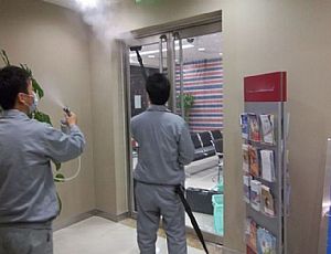 甲醛除理